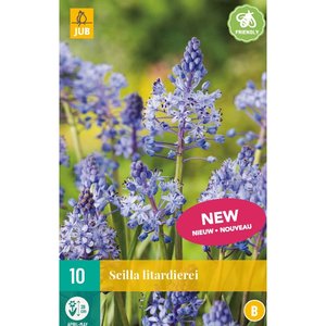 JUB Holland Scilla litardierei