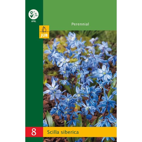 JUB Holland Scilla siberica