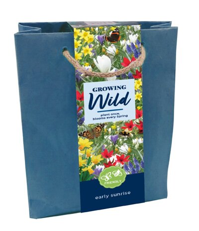 JUB Holland Tas Growing Wild Early Sunrise.