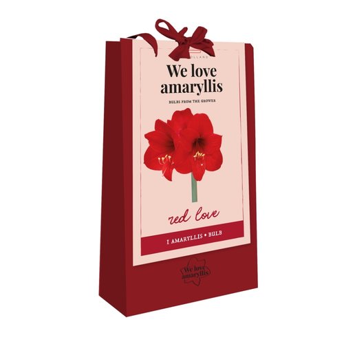 JUB Holland Tas We Love Amarylis, Rood