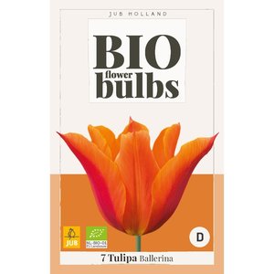 JUB Holland Tulipa Ballerina - bio