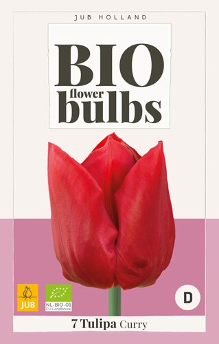 JUB Holland Tulipa Curry - bio