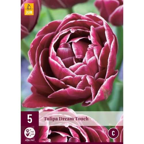 JUB Holland Tulipa Dream Touch