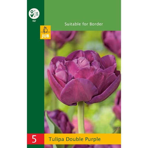 JUB Holland Tulipa Dubbel Paars
