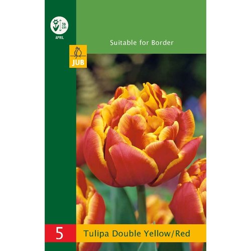 JUB Holland Tulipa Dubbel Rood-Geel