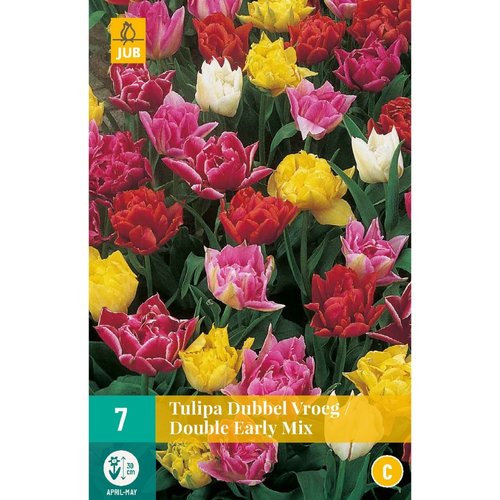 JUB Holland Tulipa Dubbel Vroeg Mix
