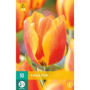 JUB Holland Tulipa Flair