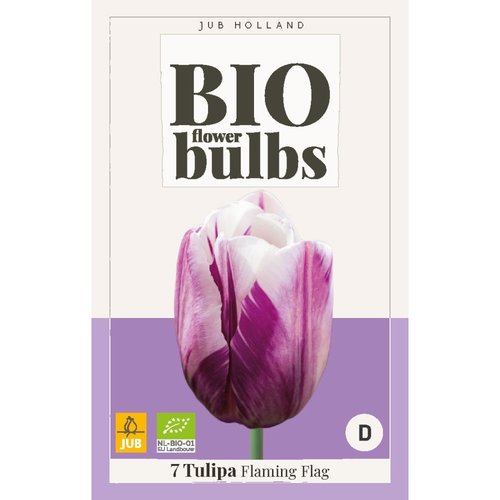 JUB Holland Tulipa Flaming Flag - bio
