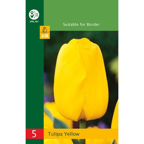 JUB Holland Tulipa Geel