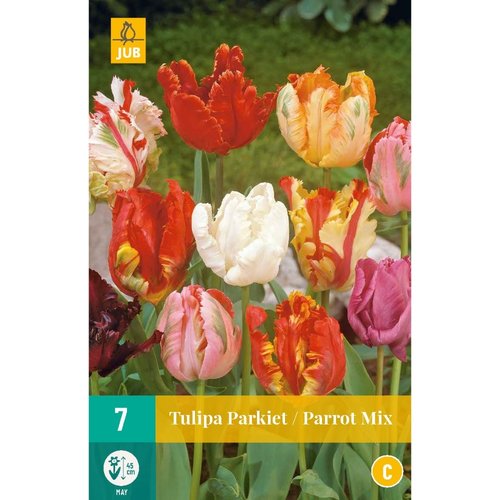 JUB Holland Tulipa Parkiet Mix