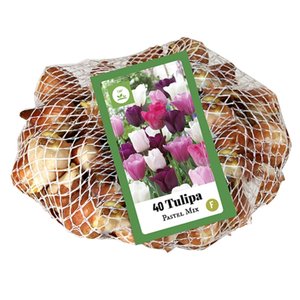 JUB Holland Tulipa Pastel Mix