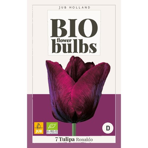 JUB Holland Tulipa Ronaldo - bio