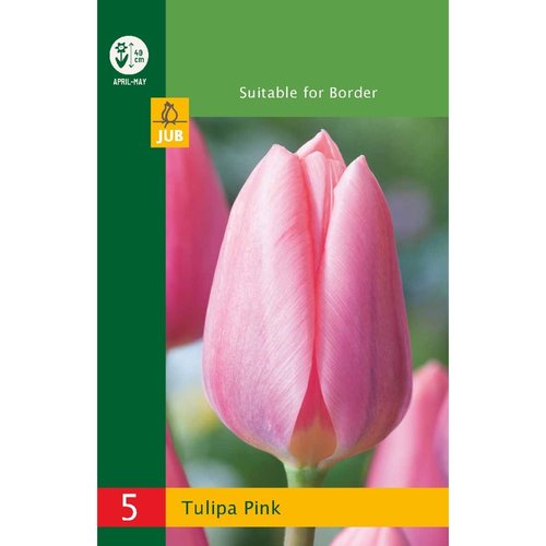 JUB Holland Tulipa Roze