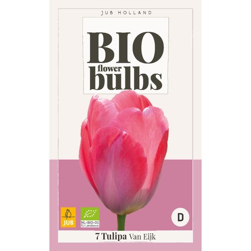 JUB Holland Tulipa Van Eijk - bio