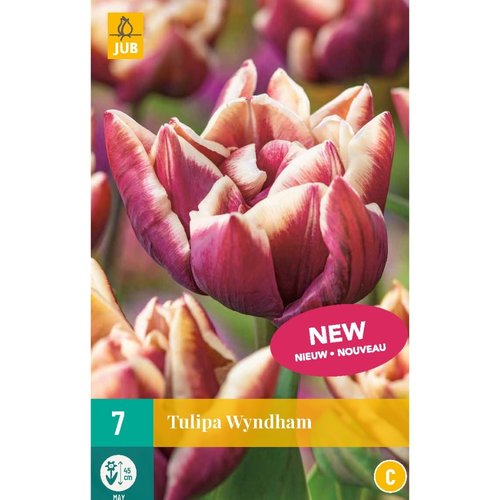 JUB Holland Tulipa Wyndham