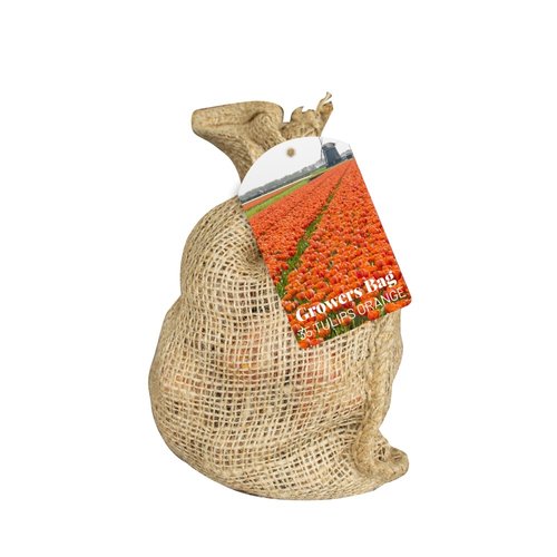 JUB Holland Zak Growers Bag Orange Tulips
