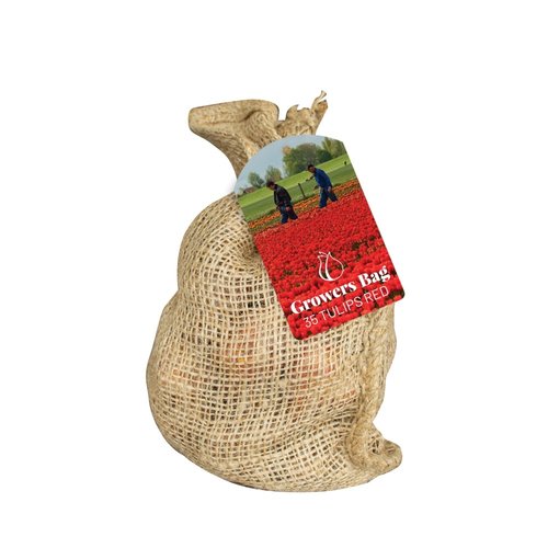 JUB Holland Zak Growers Bag Red Tulips