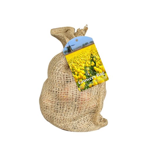 JUB Holland Zak Growers Bag Yellow Tulips