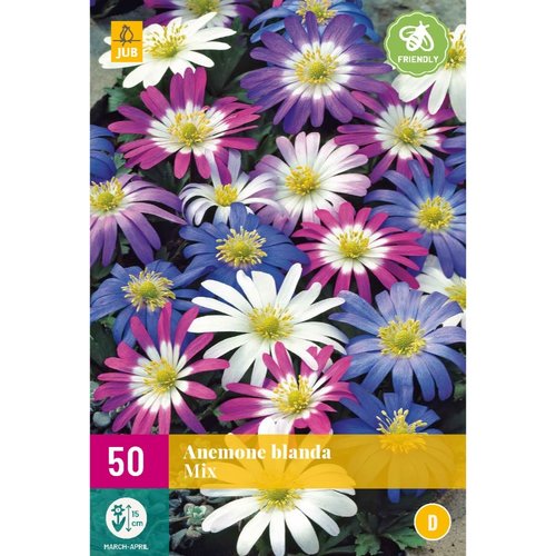 JUB Holland Anemone blanda Mix