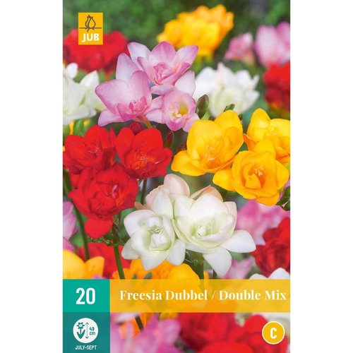JUB Holland Freesia Dubbel Mix