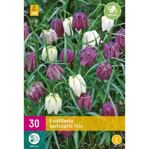 JUB Holland Fritillaria meleagris Mix