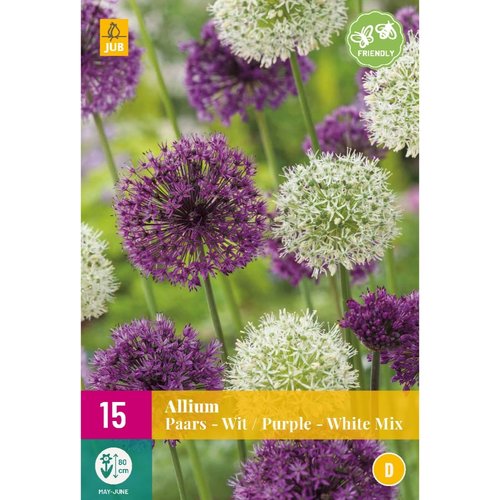 JUB Holland Allium Paars-Wit Mix