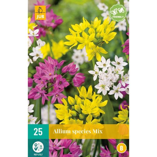 JUB Holland Allium species Mix