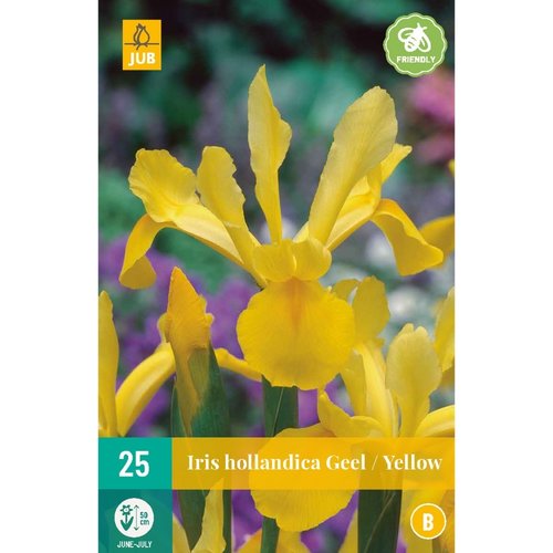 JUB Holland Iris hollandica Geel