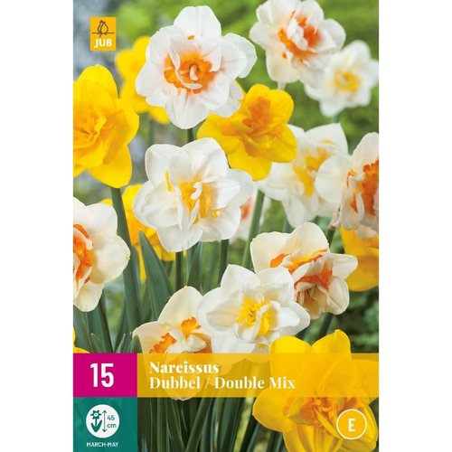 JUB Holland Narcissus Dubbel Mix