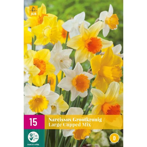 JUB Holland Narcissus Grootkronig Mix