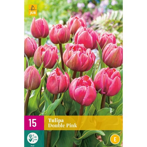 JUB Holland Tulipa Double Pink