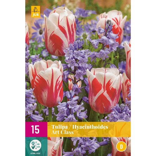 JUB Holland Tulipa / Hyacinthoides Art Class