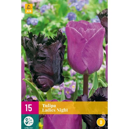JUB Holland Tulipa Ladies Night