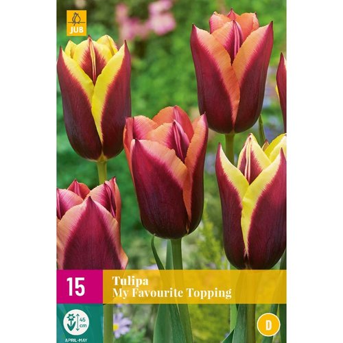 JUB Holland Tulipa My Favourite Topping