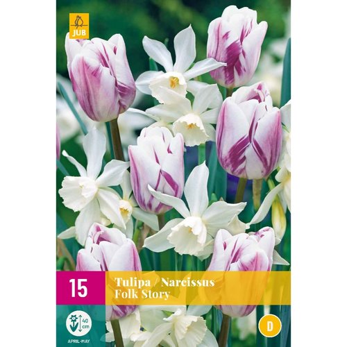 JUB Holland Tulipa / Narcissus Folk Story