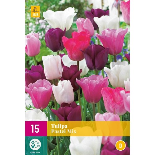 JUB Holland Tulipa Pastel Mix