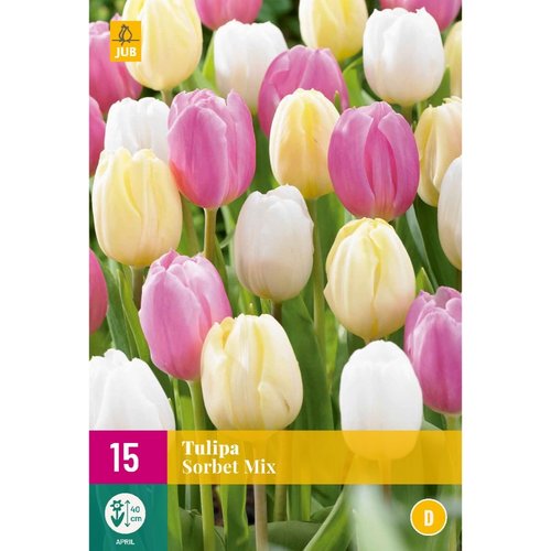 JUB Holland Tulipa Sorbet Mix