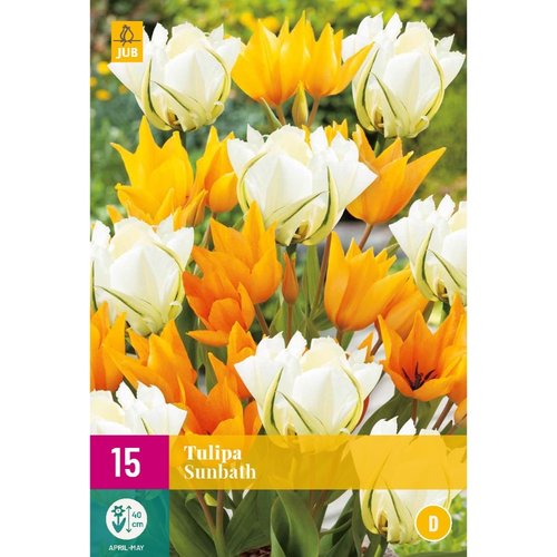 JUB Holland Tulipa Sunbath