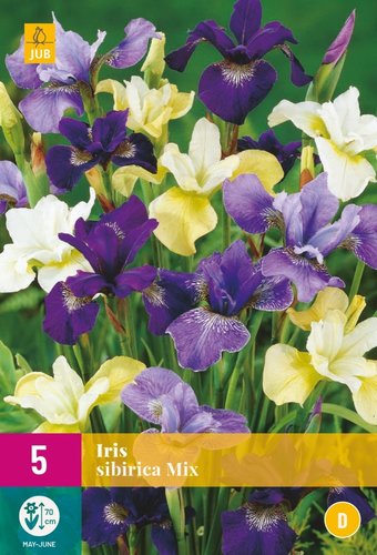 JUB Holland Iris Sibirica Mix