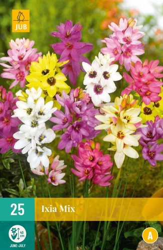JUB Holland Ixia Mix
