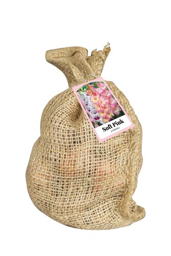 JUB Holland Jute Zak 30 Gladiolus Soft Pink