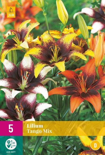 JUB Holland Lelies Tango Mix