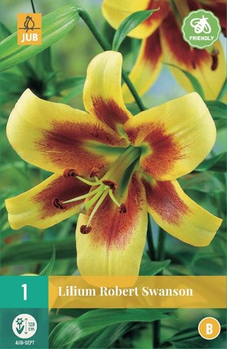 JUB Holland Lilium Robert Swanson