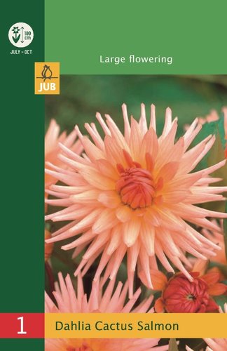JUB Holland Dahlia Cactus Salmon