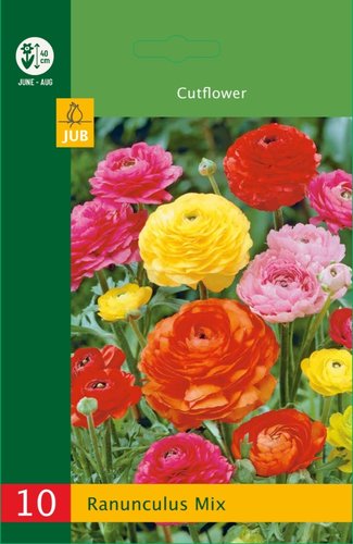 JUB Holland Ranunculus Mix