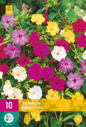 JUB Holland Mirabilis Jalapa Mix