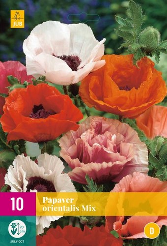 JUB Holland Papaver Orientale Mix