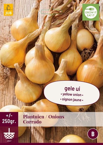 JUB Holland Plantuien Corrado
