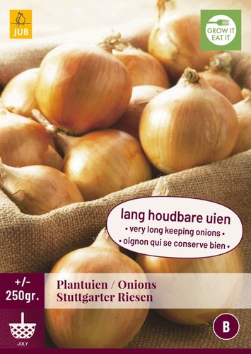 JUB Holland Plantuien Stuttgarter Riesen