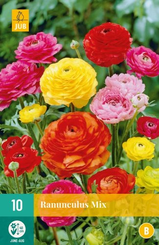 JUB Holland Ranunculus Mix